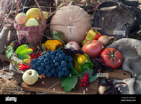 Still Life Of A Rich Autumn Harvest Stock Photo Alamy