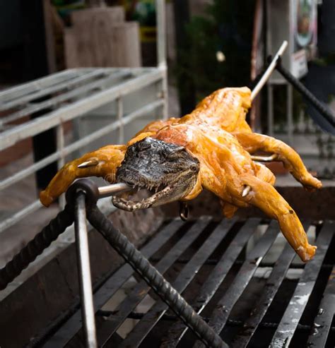 Comida Exótica Cocodrilo En Parrilla Foto De Archivo Imagen De Asia