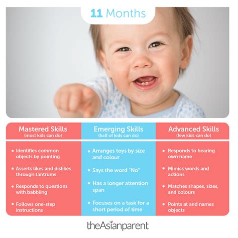 11 Month Old Baby Development And Milestones Guide For Parents