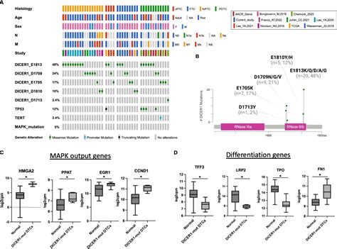 Frontiers Dicer1 Rnase Iiib Domain Mutations Trigger Widespread Mirna