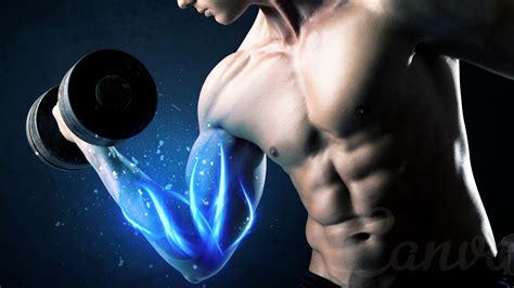 All You Need To Know About Muscle Growth