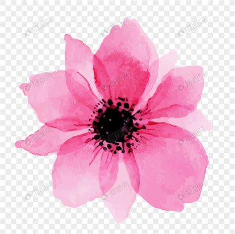 Flores Pintadas A Mano De Color Rosa PNG Imágenes Gratis Lovepik