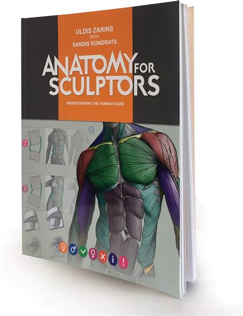 Anatomy For Sculptors Anatomy Book Series For Artists, 60% OFF