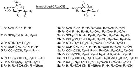 Scheme 1 Regioselective Enzymatic Hydrolysis Of Peracetylated