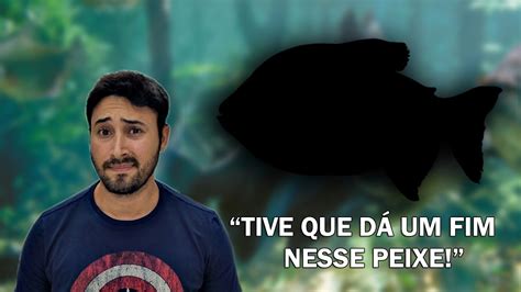 INFELIZMENTE TIVE QUE FAZER ISSO ESSE PEIXE DO LAGO YouTube