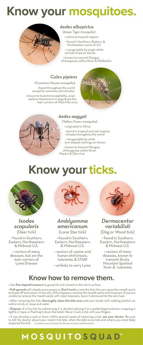 Mosquitoes Carry Lyme Disease - Captions Profile