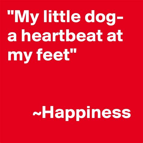 "My little dog- a heartbeat at my feet" ~Happiness - Post by Selinzoe ...