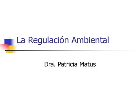 La Regulaci N Ambiental Ppt Descargar