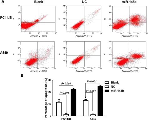 Mir 148b Induces Apoptosis In Nsclc Cellsa Annexin V Fitcpi Double