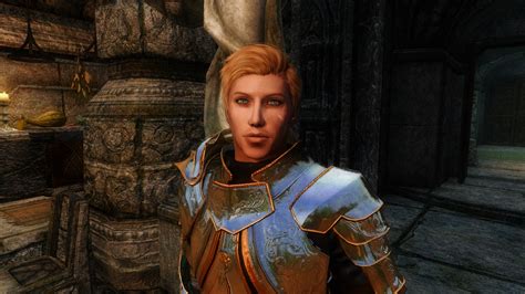 Breton Knight At Skyrim Nexus Mods And Community