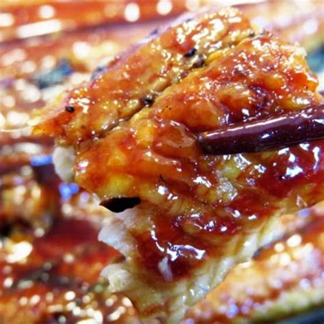 roasted eel unagi kabayaki  pack   authentic japanese eel