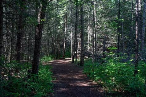 Farragut State Park In Athol, ID | America's State Parks