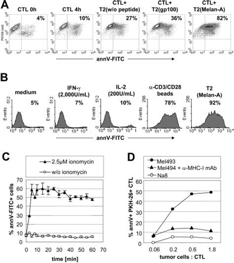 Human CD8 Melan Aspecific T Cells Expose Elevated Amounts Of PS After