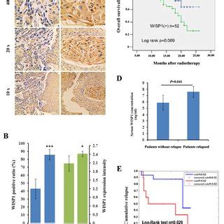 Wisp Was A Prognostic Factor Of Escc Patients Treated With