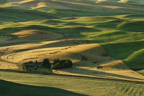 Palouse Hills by Piriya Photography