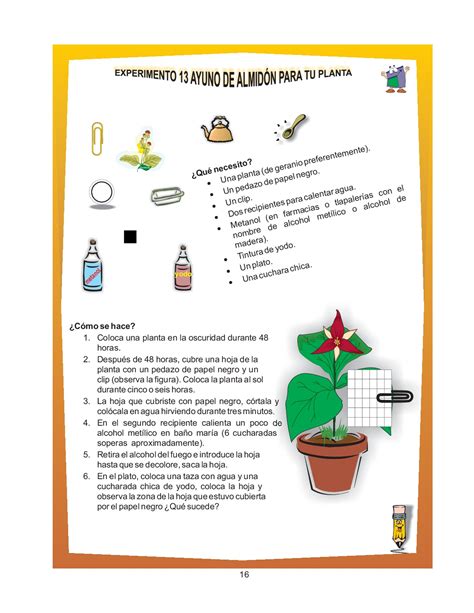 Manual De Experimentos Primaria La Ciencia Puede Ser Divertida 021