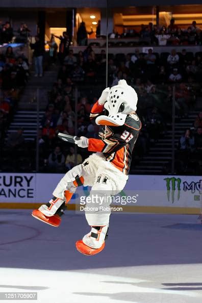 anaheim ducks mascot wild wing    period