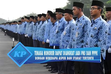 Tenaga Honorer Dapat Diangkat Jadi Pns Dan Pppk Dengan Mempertimbangkan