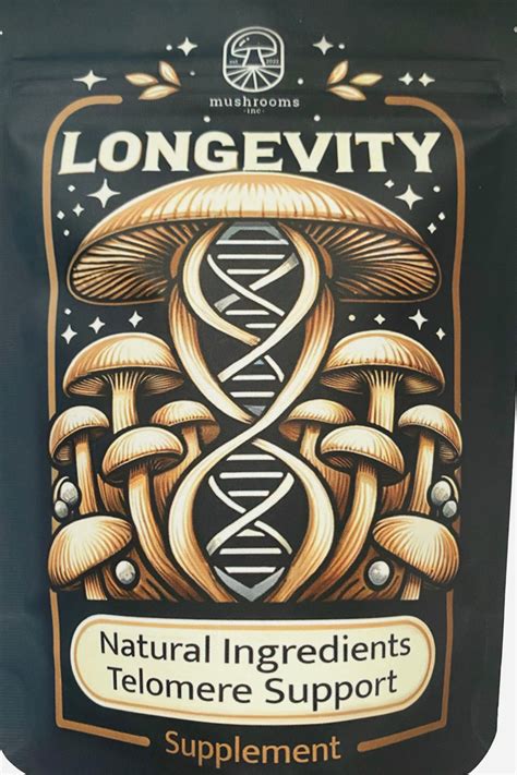 Future Clinical Trials Will Focus On The 6 Mushroom Synergy - RYZE Superfoods