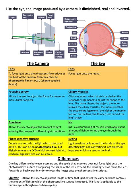 Human Eye And Camera Lens At Dorothy Anderson Blog