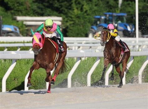 【園田11r 園田オータムトロフィー】マルカイグアス 豪快に差し切って重賞3v 競馬ニュース Netkeiba