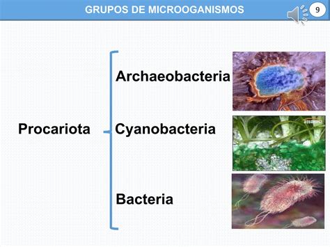 Clase Bacteriologia Para Estudiantes De Medicina Ppt