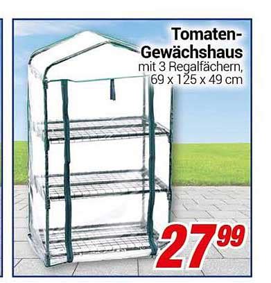 Tomaten gewächshaus Angebot bei Centershop