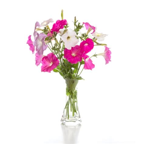 Premium Photo | Bouquet of pink petunias