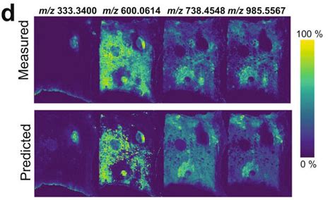 Overcoming The Challenges Of Spatial Proteomics