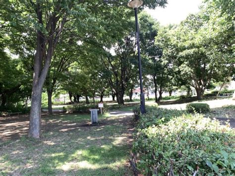 【日野市】大木島自然公園 みちくさファイル