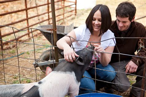 The Farm Stoney Creek Rabbitry