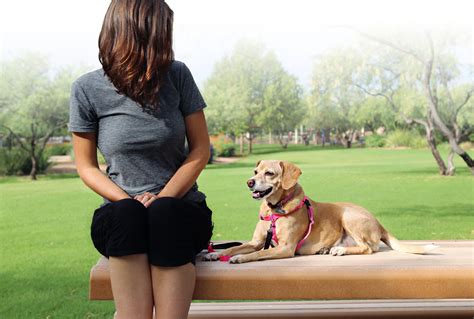 Building Bonds Dog Training Tucson, AZ Positive Reinforcement Dog ...