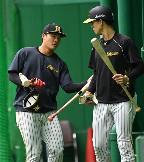 【大石大二郎】阪神小幡竜平は遊撃固定ではもったいない 二塁準備どころか外野起用も考えられる 評論家コラム 野球コラム写真ニュース 日刊スポーツ