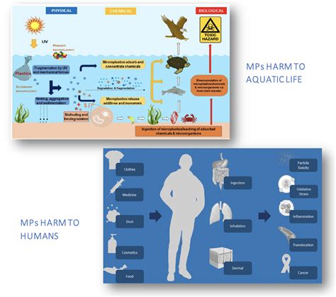 WHY IS MICROPLASTIC POLLUTION A HOT TOPIC? - InnovEOX