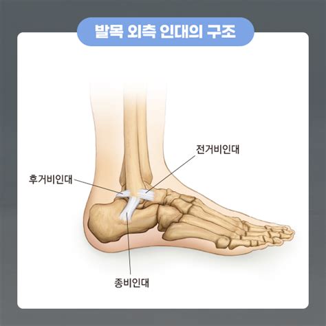 건강상식 분당서울대학교병원