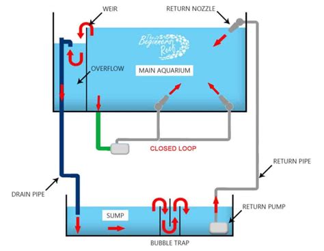 What Is A Closed Loop Aqaurium The Beginners Reef