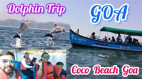 Dolphin Trip Goa Coco beach डलफन टरप गव कक बच Boat Riding