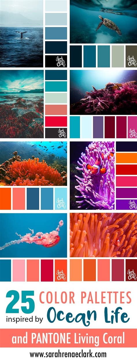 Color Palettes Inspired By Ocean Life And Pantone Living Coral