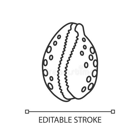 Icono Lineal Perfecto Del Píxel De La Concha De Caucho Ilustración del