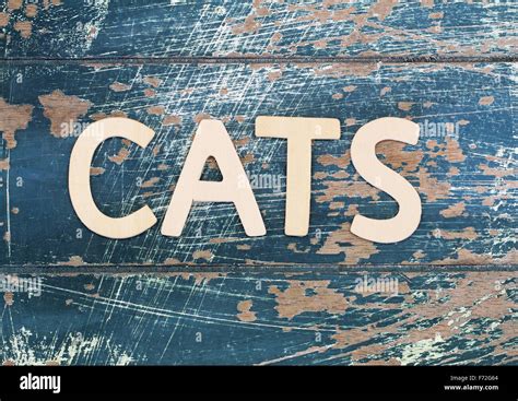 Word Cats Written With Wooden Letters On Rustic Surface Stock Photo Alamy