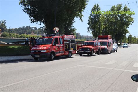 Desorienta Se E Cai Ao Rio Mondego Em Coimbra Not Cias De Coimbra