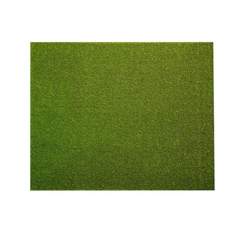 Lifeproof With Petproof Technology Premium Pet Turf 6 Ft X 75 Ft