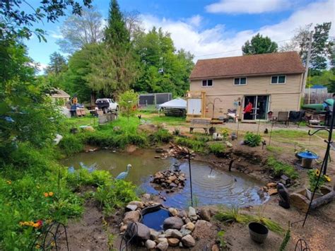 28 Backyard Pond Ideas: Transform Your Space into a Water Oasis