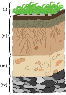 Soil Profile Diagrams Labelling