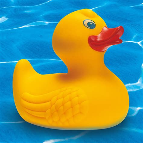 Rubber Duck Sound Squeaky Toy Sounds Rubber Duckie Rubber Chicken