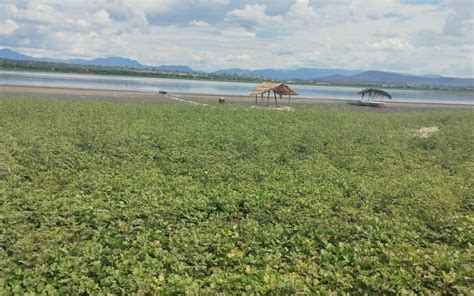 Coatetelco Pescadores confían que lluvias logren salvar la laguna