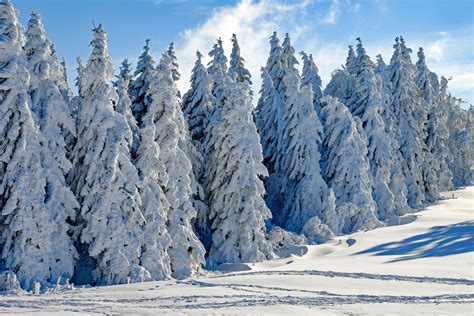 SULLE PALE DI SAN MARTINO 40 CM DI NEVE FRESCA IL NUOVO BOLLETTINO