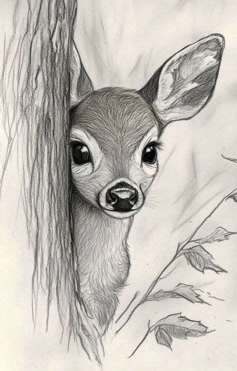 draw nature animals