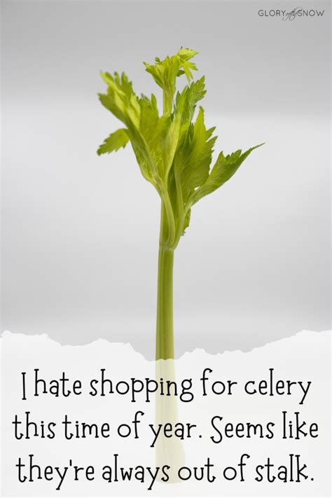 Celery Puns And Jokes That Will Make You Giggle Glory Of The Snow