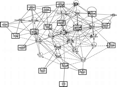 Canonical pathways identified by Ingenuity Pathway Analysis performed ... 